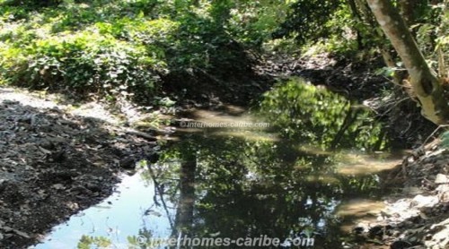 photos for LA VEGA: PRODUCING RICE FARM